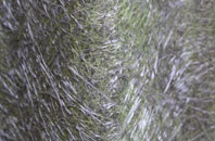 Whiteinch fibreglass roof work